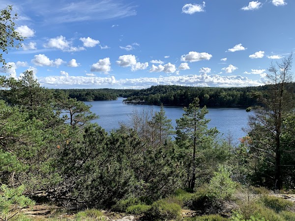 Delsjöområdets naturreservat