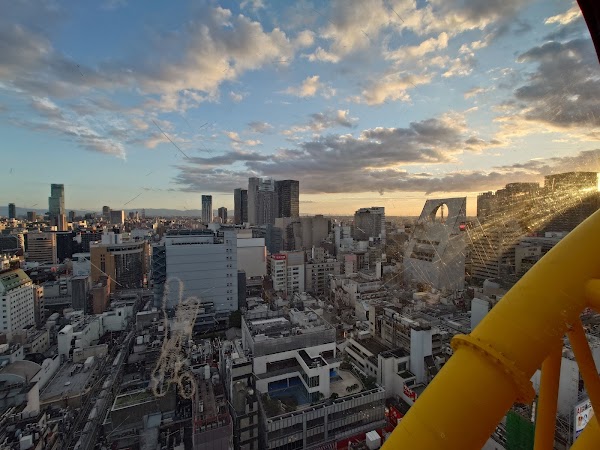 Ebisu Tower Ferris Wheel 4