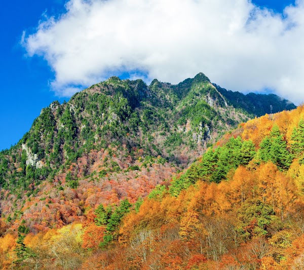 Nishizawa Gorge 2