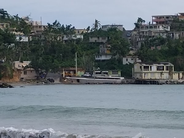 Ceiba 5