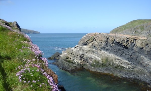 Cardigan Bay