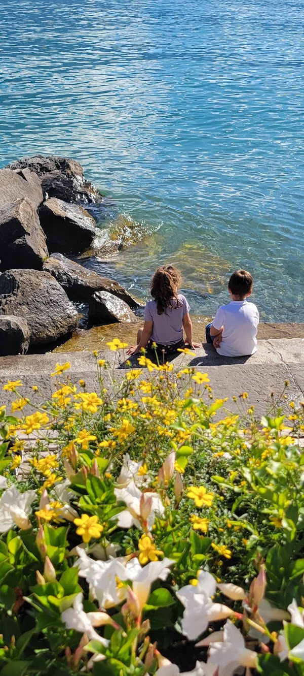 Montreux 5
