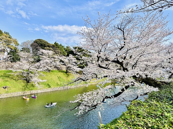 Chidorigafuchi Green Way