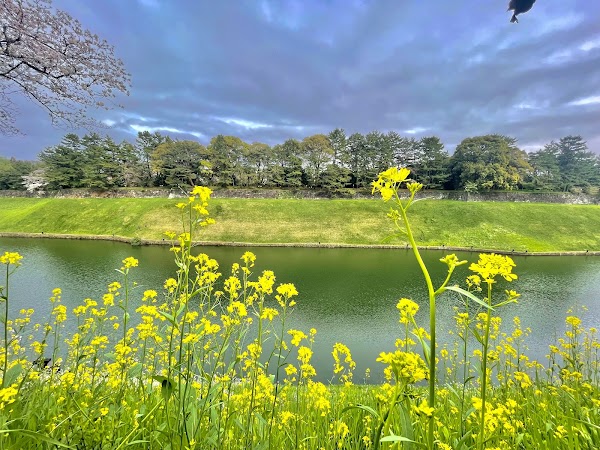 Chidorigafuchi Green Way 2
