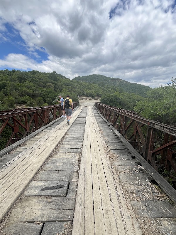 Osumi Canyon Bridge 3