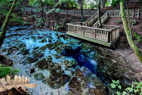 Hamurana Springs Nature Park & Golf Course