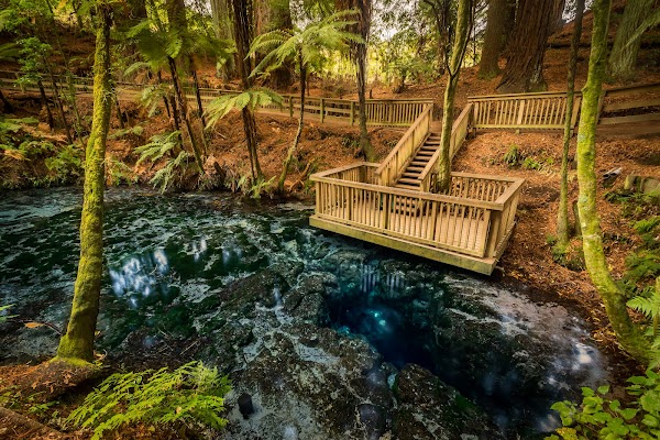 Hamurana Springs Nature Park & Golf Course 5