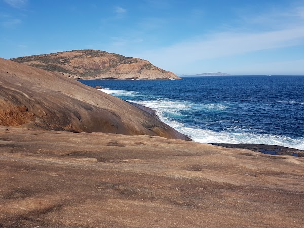 Thistle Cove 5