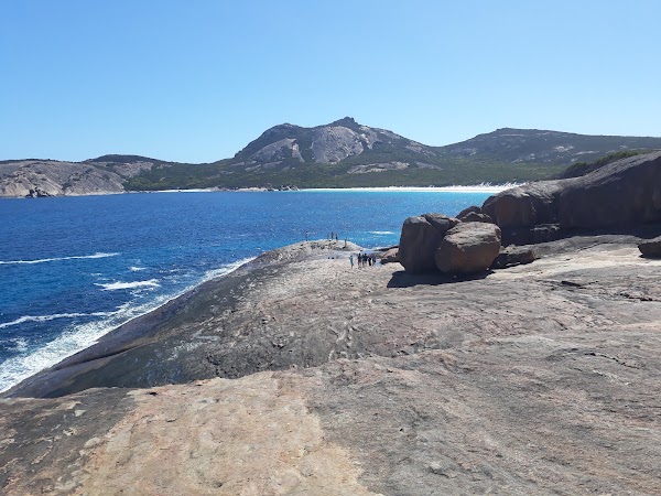 Thistle Cove 4
