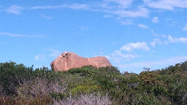 Thistle Cove 3