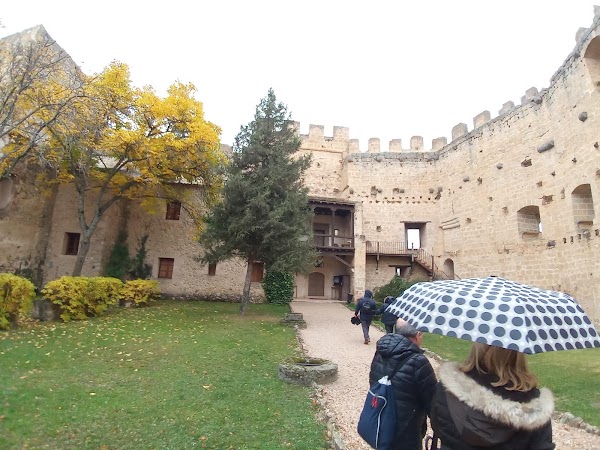 Pedraza 5