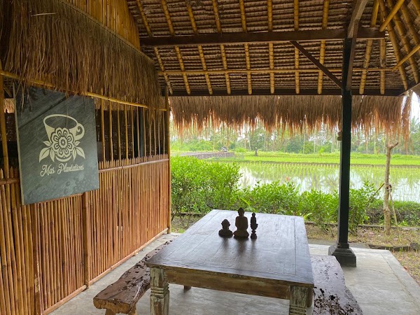 Mas Plantations and luwak coffee 1