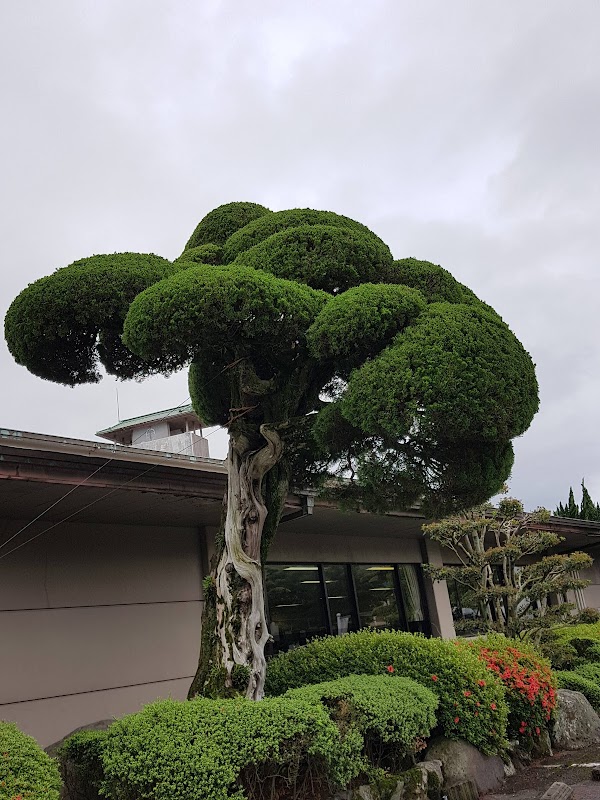 Arita 5