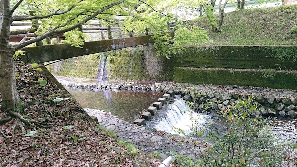 Arita 3