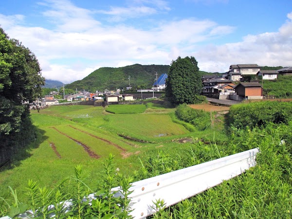 Arita 2