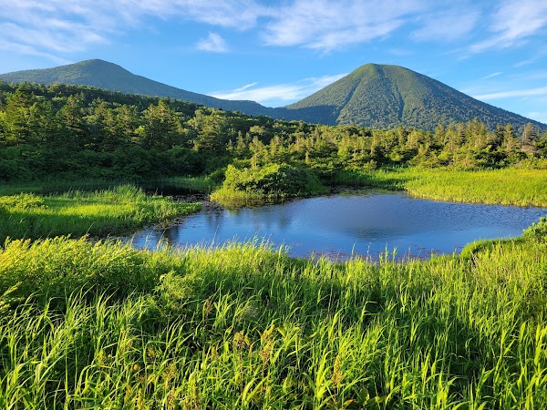 Aomori 9