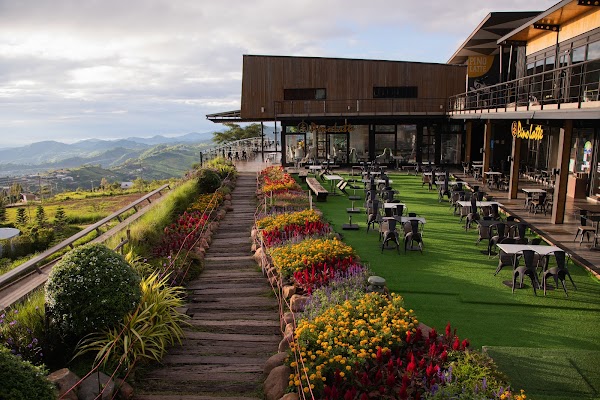 Pino Latte Restaurant & Cafe 3