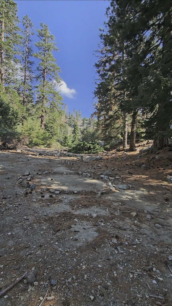 Cedar Glen Campground
