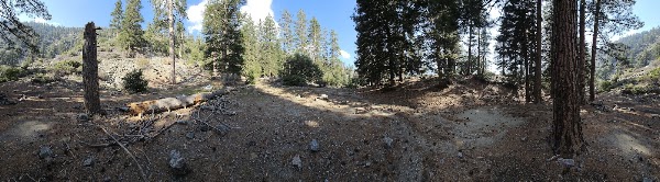 Cedar Glen Campground 2