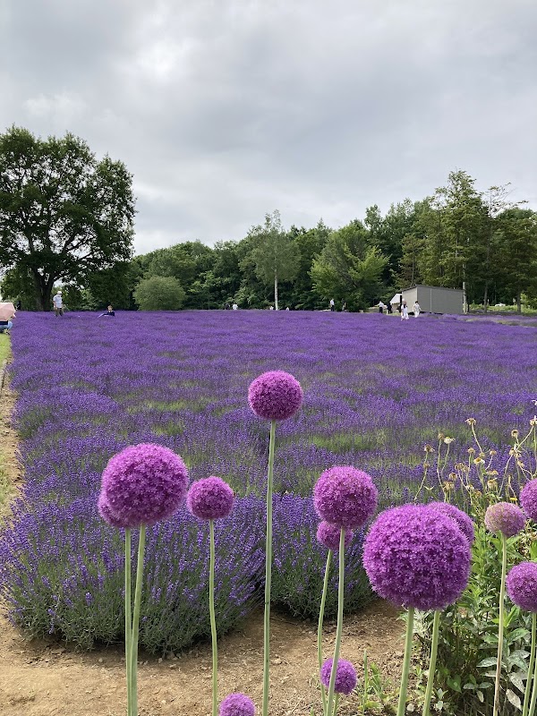 Horomitoge Lavender Garden 4