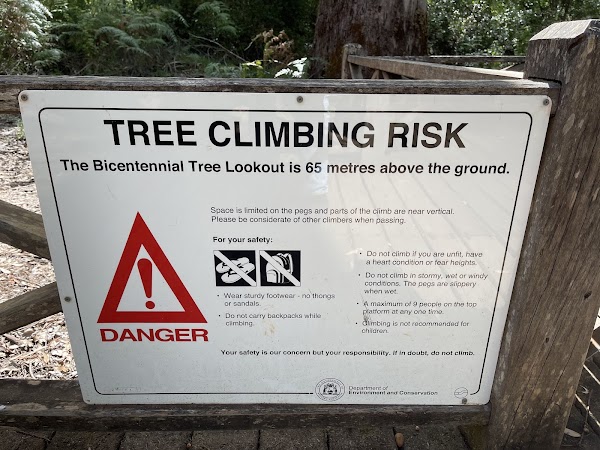 Dave Evans Bicentennial Tree 4