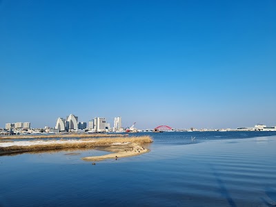 Cheongchoho
