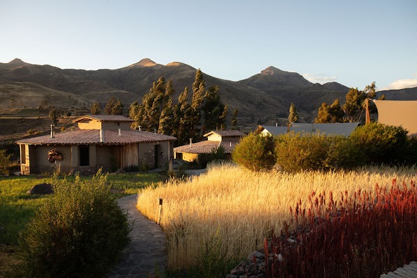 PUQIO by Andean