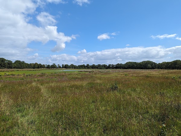 Nederland 13