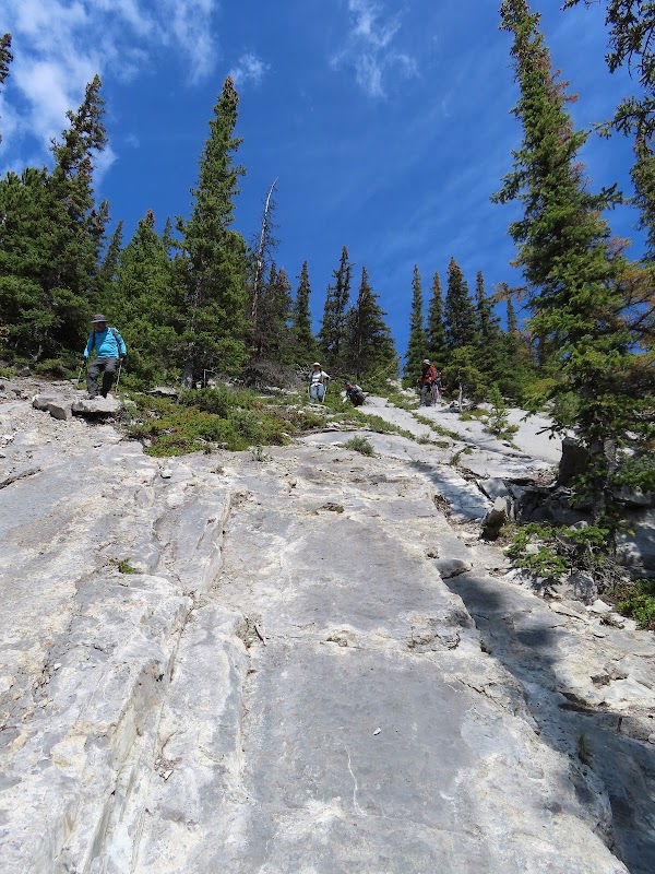 East End of Rundle 2