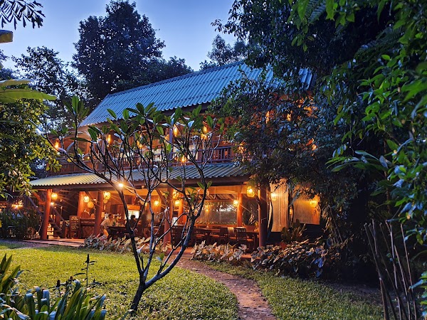 Our Jungle House