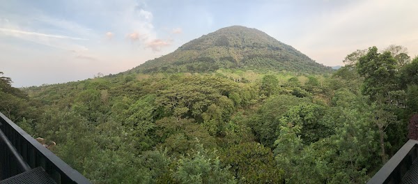 Cerro Los Naranjos