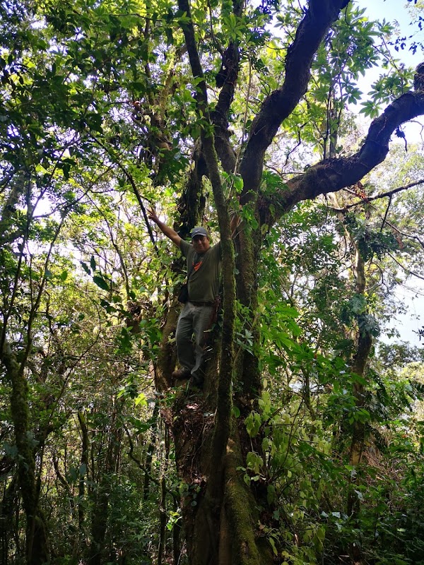Cerro Los Naranjos 5