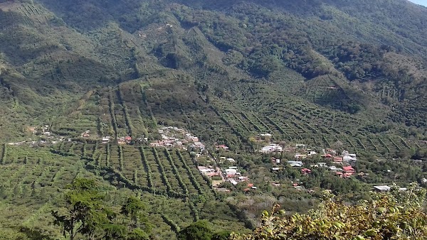 Cerro Los Naranjos 3