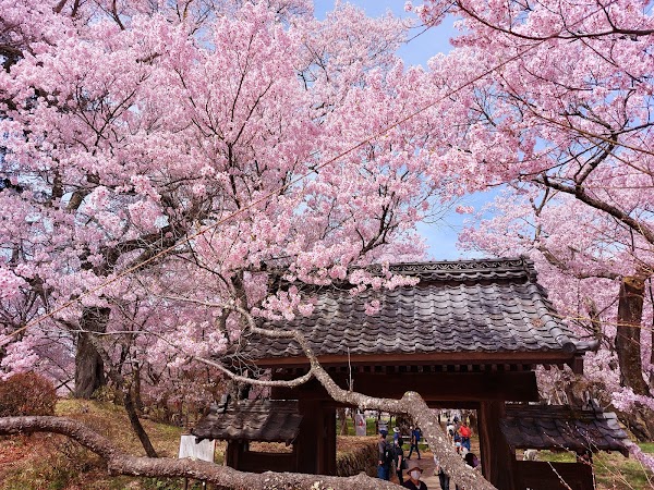 Takato Castle Park 1