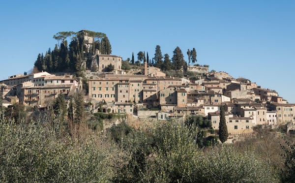 Cetona