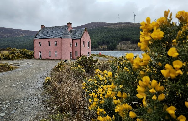 The Pink House