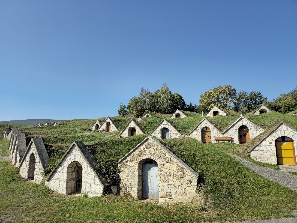 Kőporosi Pincesor - Hercegkút 5