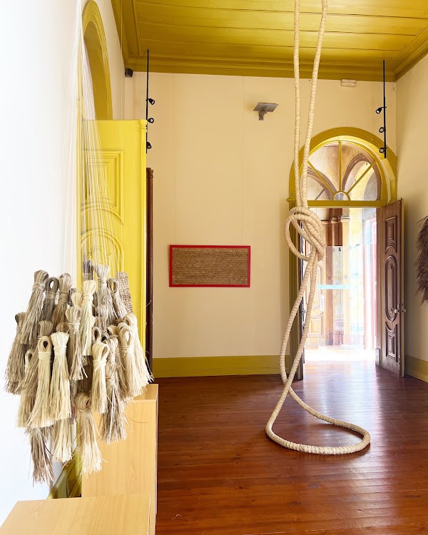Palmas Douradas 2