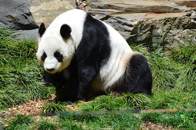 Adelaide Zoo