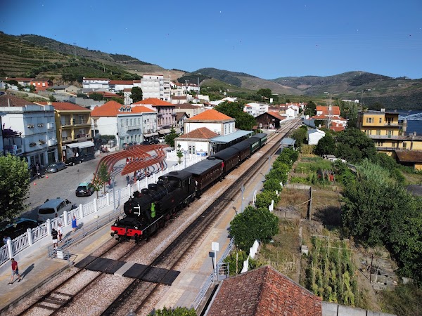 Pinhão 5