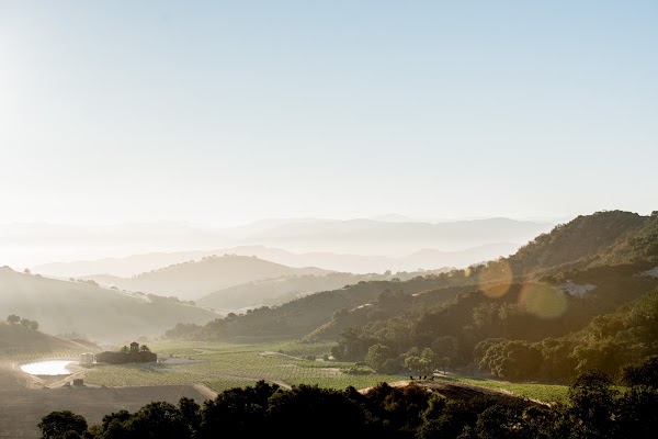 Eden Rift Vineyards 1
