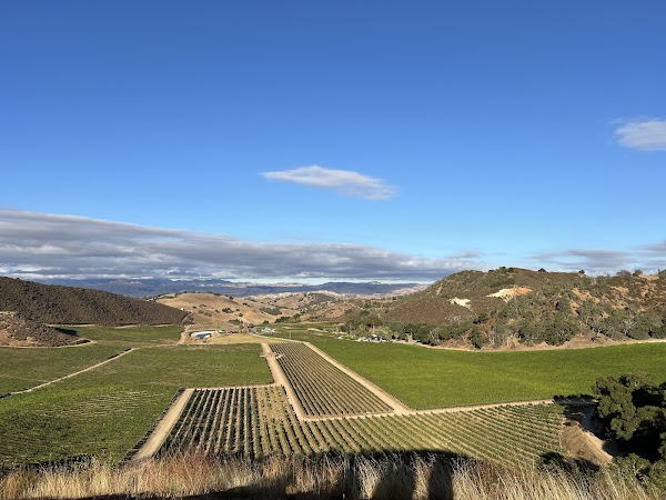 Eden Rift Vineyards 5