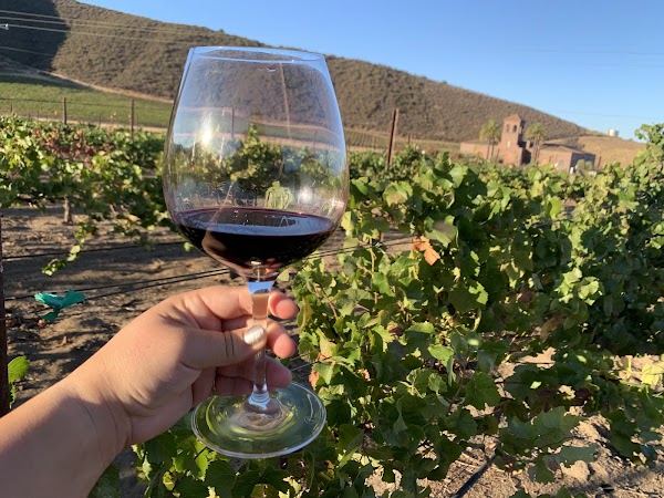 Eden Rift Vineyards 3