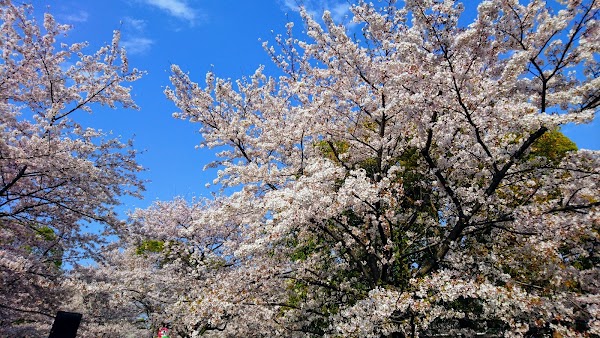 Toneri Park 4