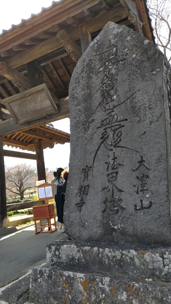 Yamataka Jindai Zakura 3