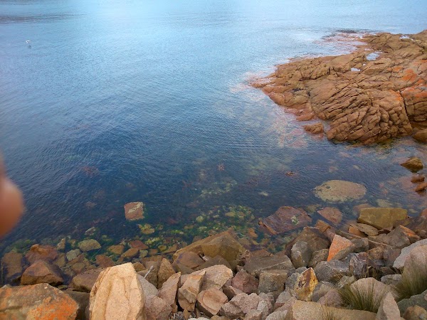 Tasmania 4