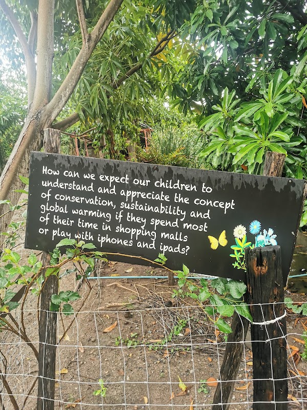 Get Growing Community Farm 2