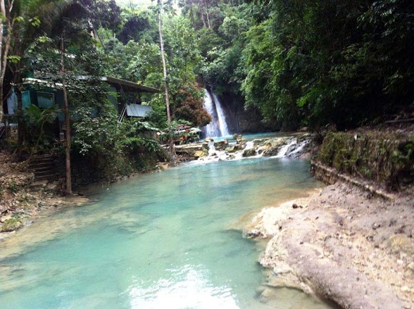 Kawasan Falls 4