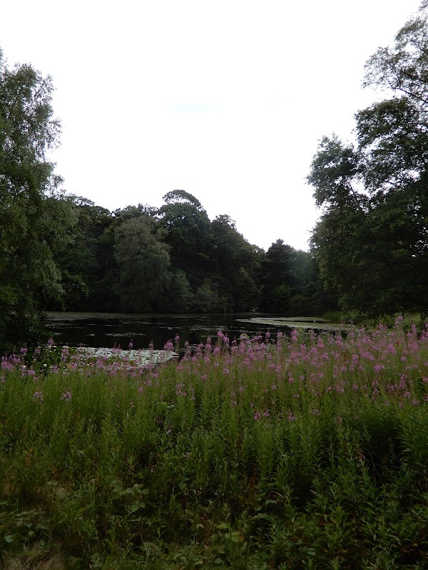 Kenwood Estates 2