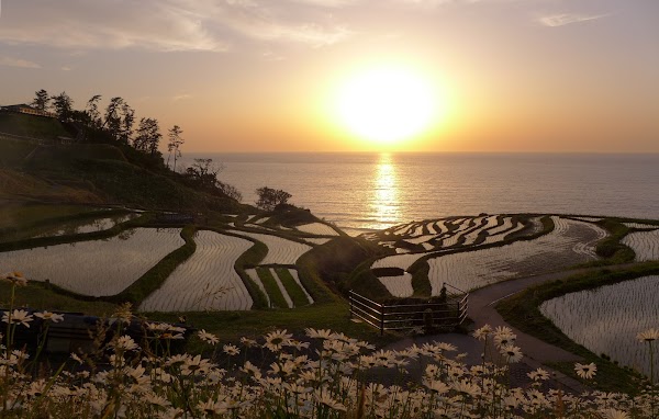 Shiroyone Senmaida Rice Terraces